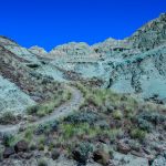 NW6_1758