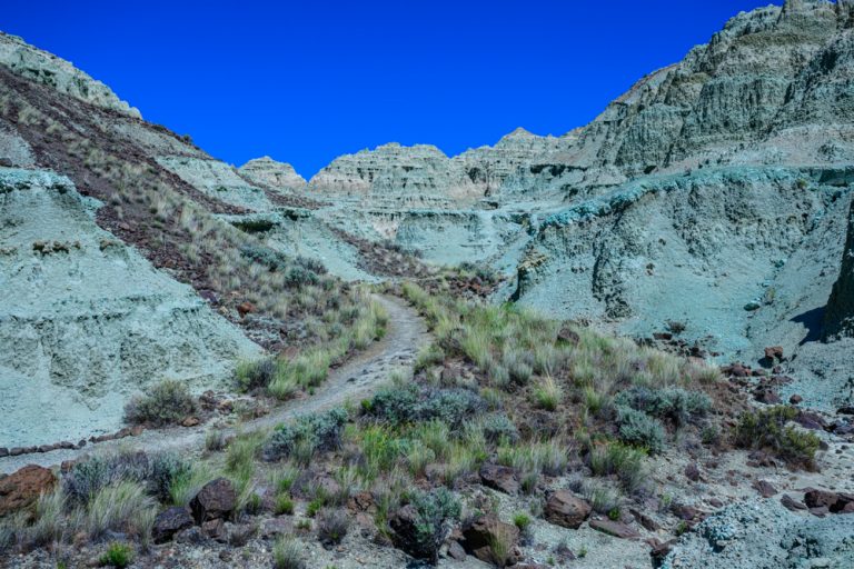 03.05.2026 – John Day Fossil Bed National Monument