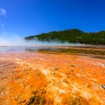 15.05.2026 - Im Yellowstone Nationalpark NW6_2743