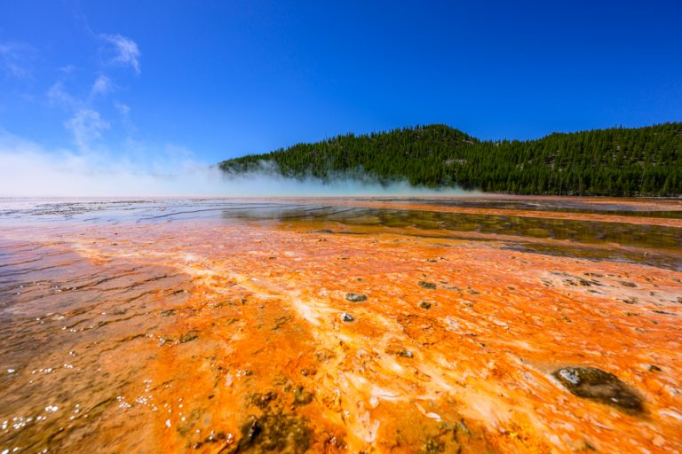 15.05.2026 – Im Yellowstone Nationalpark