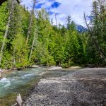 NW6_2993