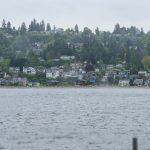 25.05.2026 - Vashon Island NW6_3493