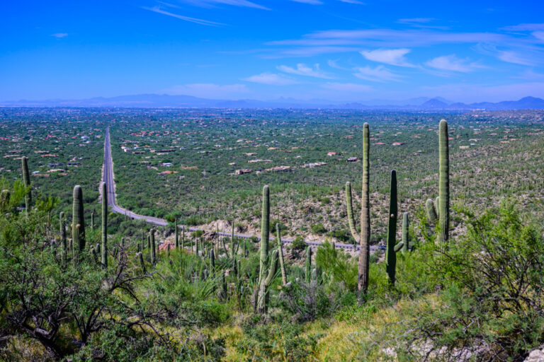 21.09.2026 – Mt Lemmon
